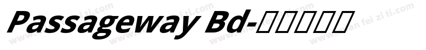 Passageway Bd字体转换